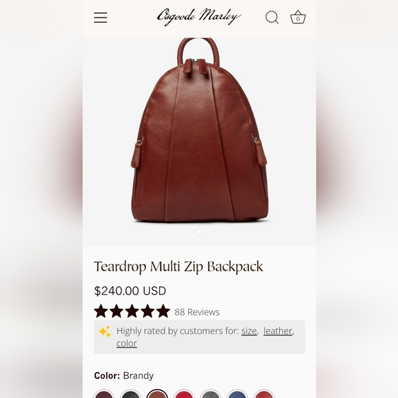 Brown Teardrop Backpack with Multi Zips - Picture 1 of 9